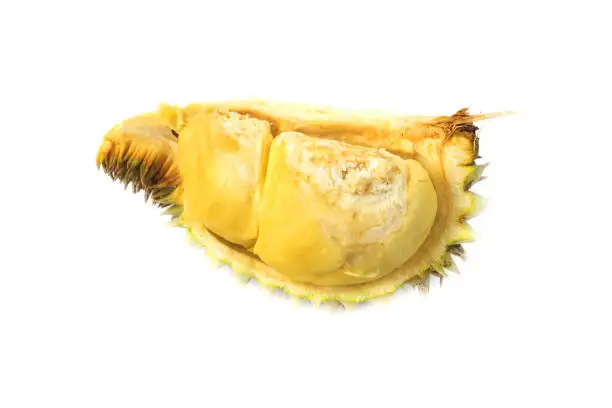 Photo of Durian fruit Famous fruits from Thailand