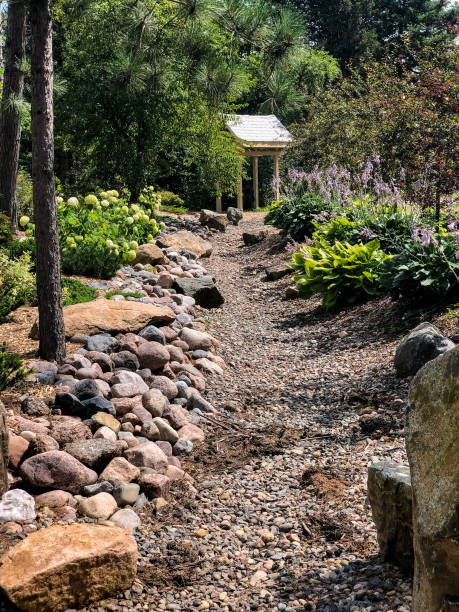 istock Trail in botanical center 1170419735