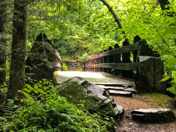 istock Wooden bridge on trail through forest 1170419807
