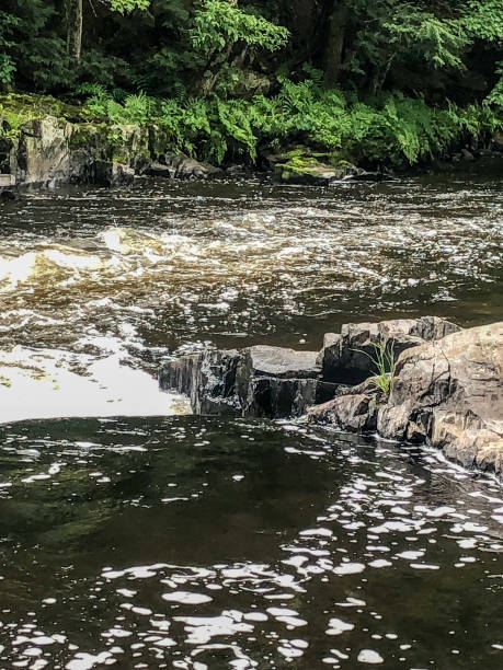istock River rapids by rocks at Dells of Eau Claire in Aniwa, Wisconsin 1170419873