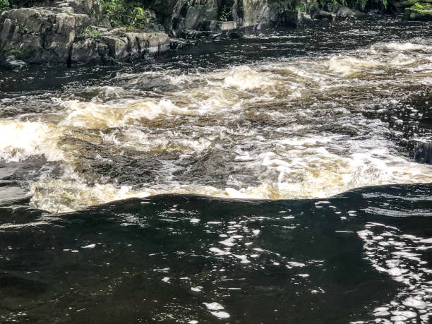 istock River rapids at Dells of Eau Claire in Aniwa, Wisconsin 1170419899