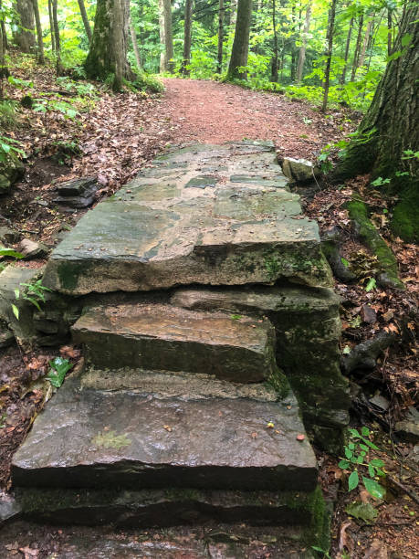 istock Rock slab stairs on forest trail 1170419936
