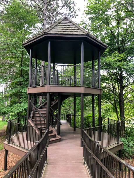 istock Small two-story treehouse in botanical garden 1170420003