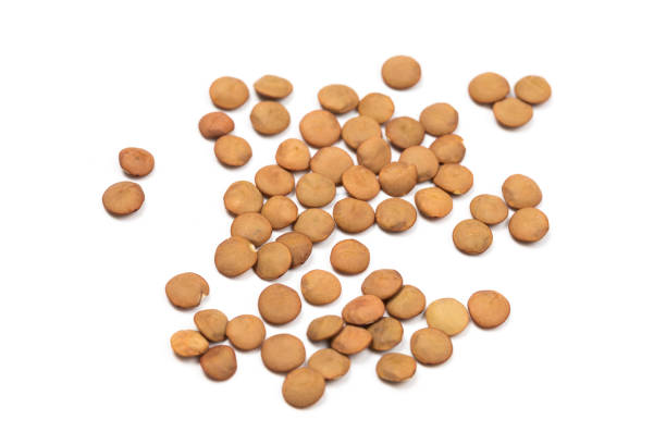 istock Pile lentil isolated on white background. Top view. 1170425092