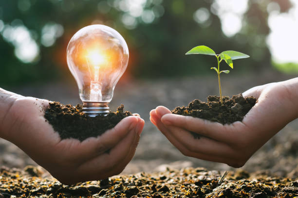 hand holding young plant and ligh bulb. concept saving energy. eco earth day hand holding young plant and ligh bulb. concept saving energy. eco earth day sustainable energy stock pictures, royalty-free photos & images