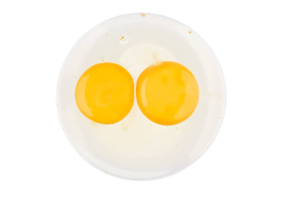 istock Fresh raw egg uncooked isolated on white background on top view  food cooking photo object design 1170432951