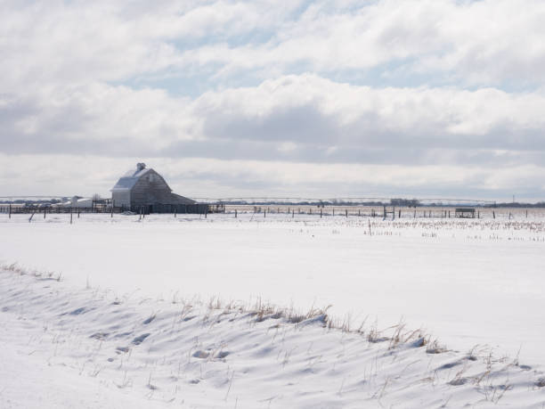 alte holzscheune in verschneiter ländlicher szene - prairie farm winter snow stock-fotos und bilder