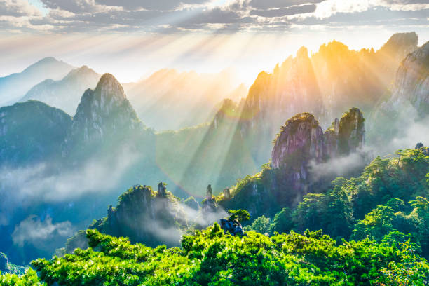 istock Landscape of Mount Huangshan 1170436022