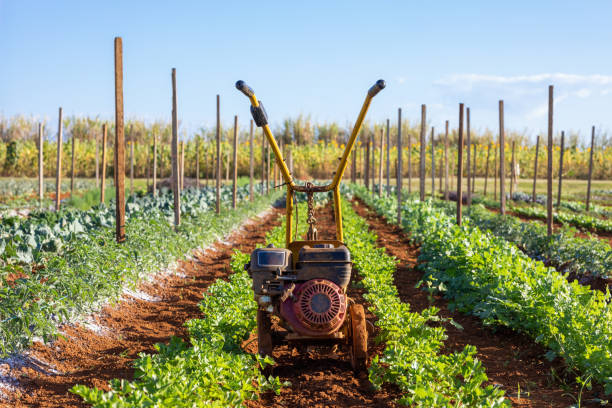 Farner working in the garden with Garden Tiller. Garden tiller to work, closeup. Man with tractor cultivating field at spring