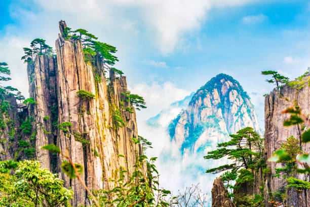 Landscape of Huangshan Landscape of Huangshan (Yellow Mountains). Located near Shixin Peak (Begin to Believe Peak), Huangshan, Anhui, China. pinus hwangshanensis stock pictures, royalty-free photos & images