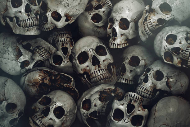 istock Pile of human skull background 1170438187