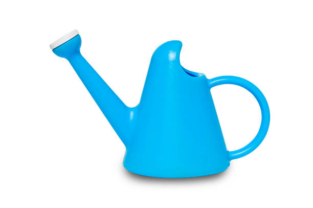 istock The blue plastic watering cans isolated on white background with clipping path. 1170439326