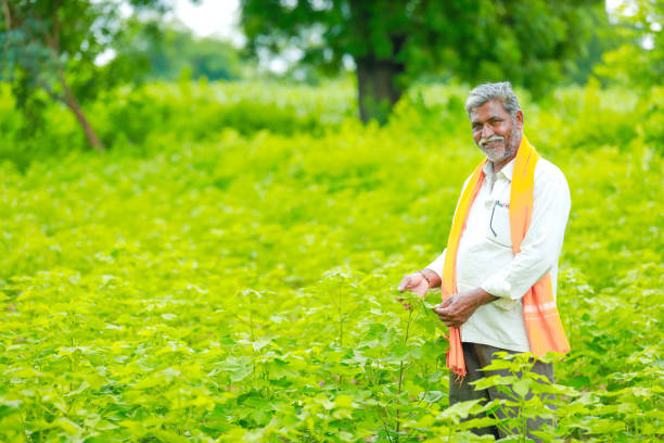 istock young indian farmer at cotton field , India 1170442478
