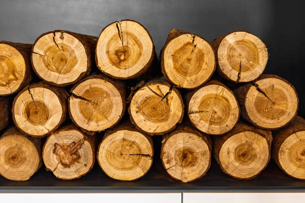 istock Chopped firewood. Natural wooden background. 1170443524