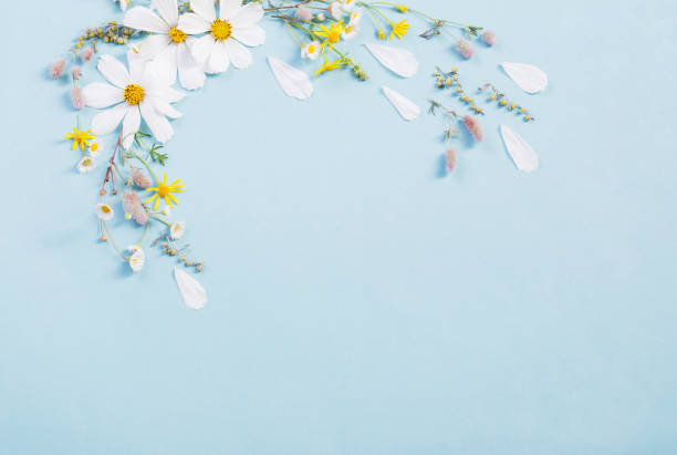 istock white flowers on paper background 1170445529