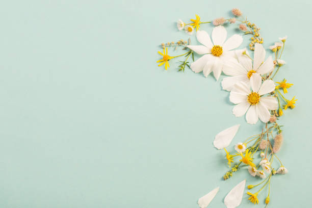 istock white flowers on paper background 1170445550