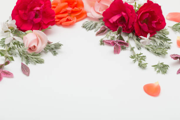 istock rose flowers and leaves on white background 1170445588