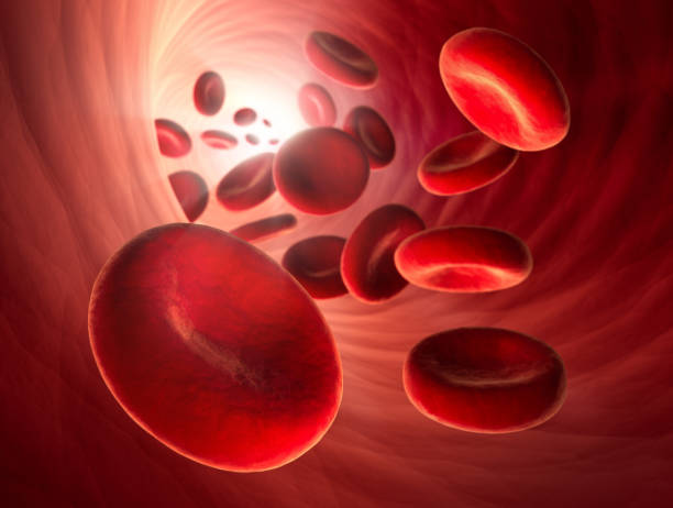 Red blood cells in an artery, flow inside body - stock photo Erythrocyte flowing in vein aorta photos stock pictures, royalty-free photos & images