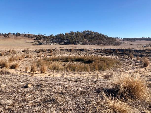istock Drought Country Landscape in Australia 3 1170446833