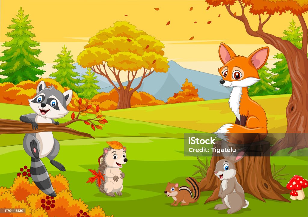 Ilustración de Animales Salvajes De Dibujos Animados En El Bosque De Otoño y más Vectores Libres de Derechos de Animal - iStock Ilustración de Animales Salvajes De Dibujos Animados En El Bosque De Otoño y más Vectores Libres de Derechos de Animal - iStock