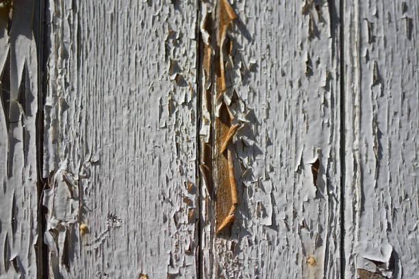 istock Wooden door 1170449326