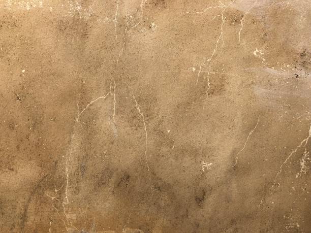 istock Old Stone Wall in France 6 1170449371