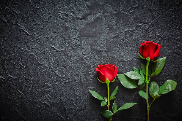 istock Two red roses on a dark, black stone background. Place for text 1170450505