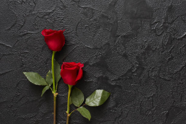 istock Two red roses on a dark, black stone background. Place for text 1170450509