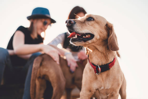 istock Happy dog and his owners 1170450918