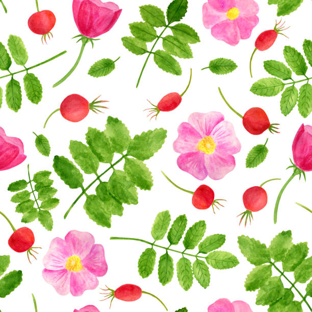 Watercolor red rose hips, flowers, leaves seamless pattern Watercolor red rose hips, flowers, leaves seamless pattern. Hand drawn background with green plants and brier berries. Floral template for home decor, design, textile, cards, decoration, cosmetics wild rose hip stock illustrations