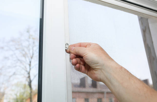 istock Man is installing the mosquito net on the window. Protection from bugs. 1170452335