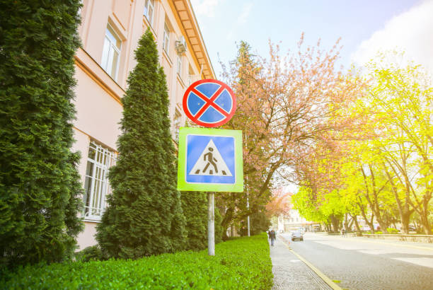 istock Pedestrian crossing sign. Sakura trees on background. Pink blossom blooming. Spring time. 1170452953