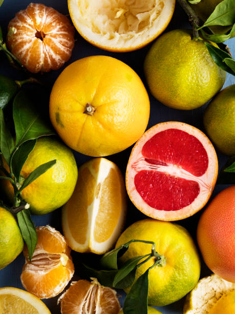 Citrus fruits,Fresh citrus fruits sliced stock photo