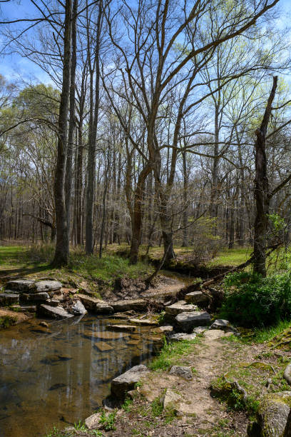 istock Shiloh National Battlefield 1170461079