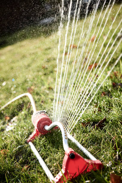 istock Water fountain watering the lawn 1170463260