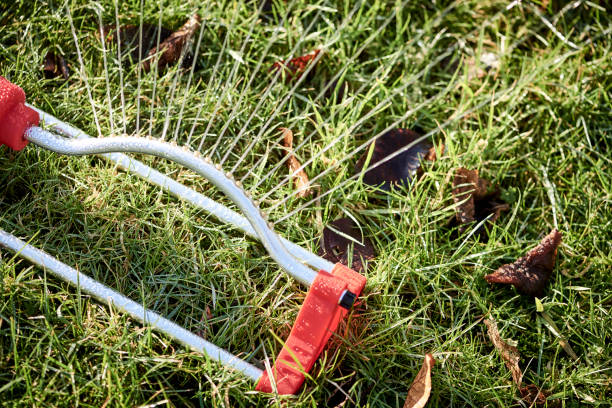 istock Water fountain watering the lawn 1170463444