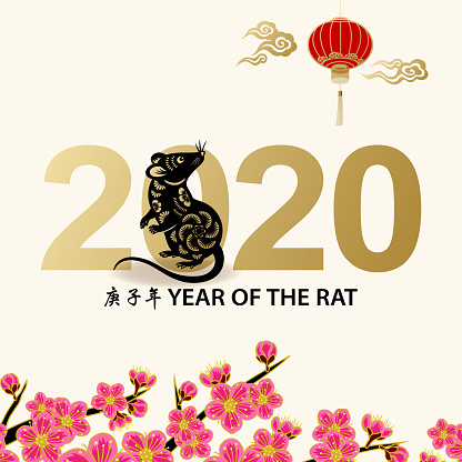 Greeting for the Chinese New Year of the Rat 2020 with paper art rat on background of lanterns and peach blossom, the Chinese phrase means Year of the Rat