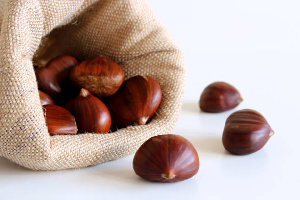 castañas frescas sobre un fondo blanco. conjunto de castañas aisladas. el nombre también se refiere a las nueces comestibles que producen. concepto de comida saludable y de temporada. decoraciones de otoño. - chestnut close up close to macro fotografías e imágenes de stock