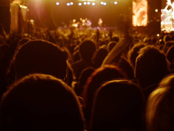 people enjoying of a music concert outdoors at the night - crowd popular music concert music festival outdoors imagens e fotografias de stock