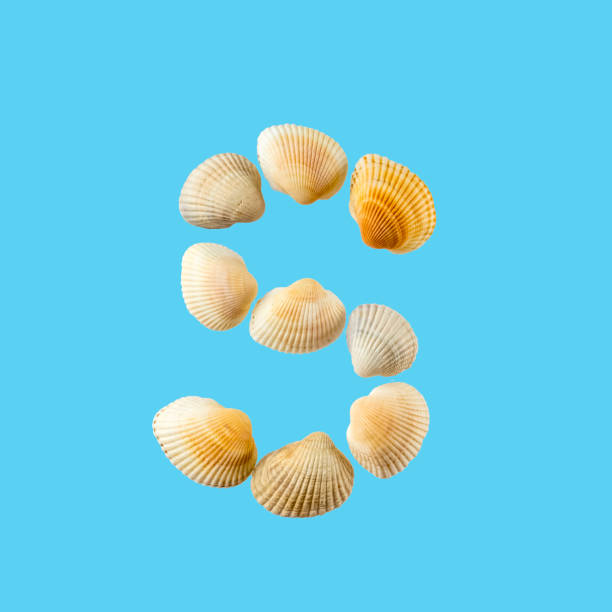 istock Letter 