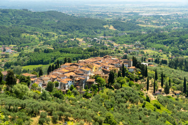 istock Hills near San Gennaro, Lucca 1170471279
