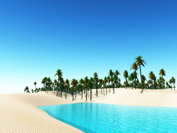 istock 3D tropical landscape with palm trees 1170471287
