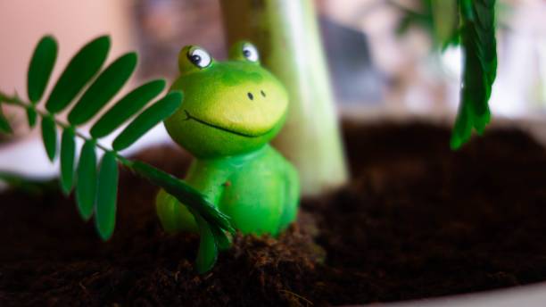 istock Decorative frog toy sitting in a flowerpot 1170471876
