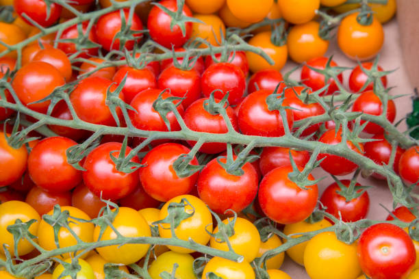 istock Orange, Red and Yellow Cherry Tomatoes 1170474125