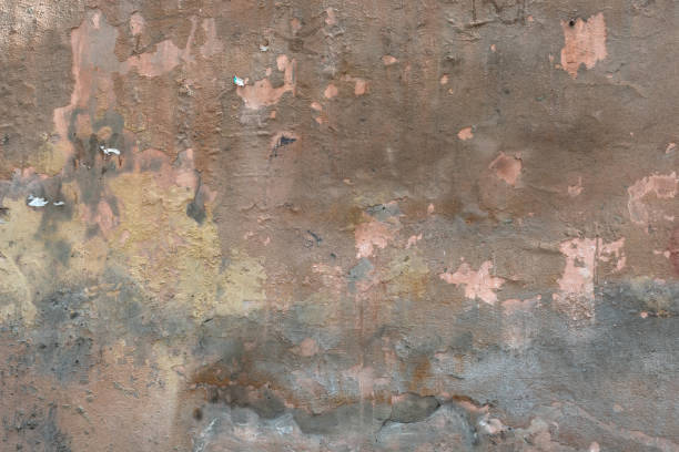 自然なグランジスタッココンクリート壁テクスチャ背景表面フラグメント - backdrop damaged old fashioned natural pattern ストックフォトと画像