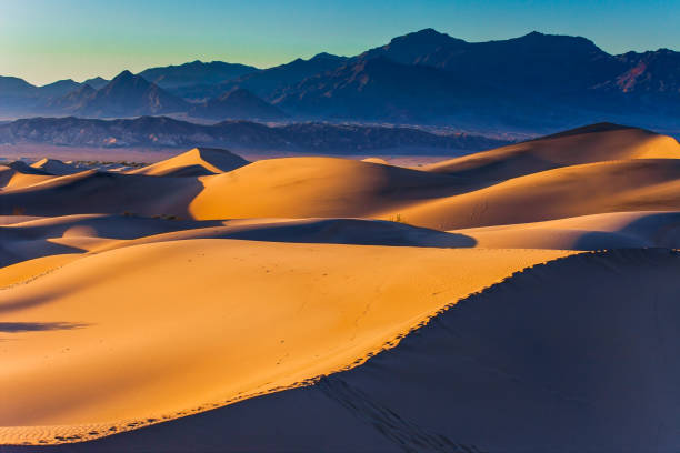 istock Dunes illuminated by orange sunset 1170475115