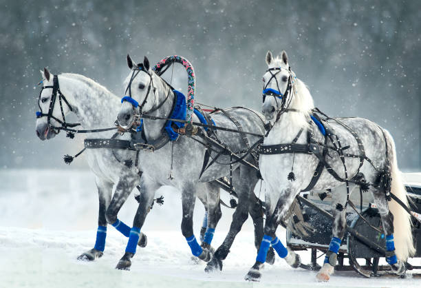 istock russian troika running in winter 1170475408