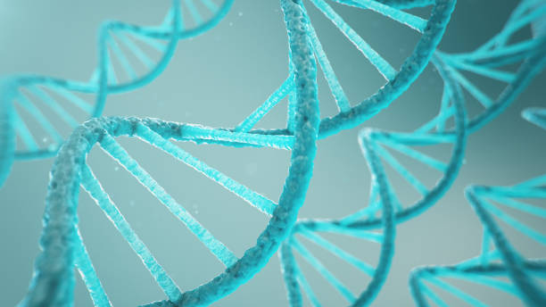 istock Double helical structure of DNA, DNA molecule, RNA. The concept of biochemistry, biotechnology. Genome change, 3D illustration 1170475700
