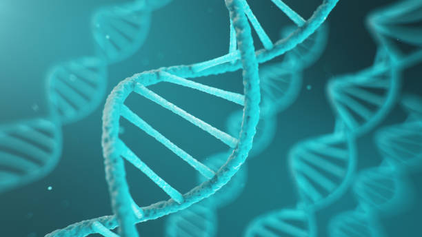 istock Double helical structure of DNA, DNA molecule, RNA. The concept of biochemistry, biotechnology. Genome change, 3D illustration 1170475792