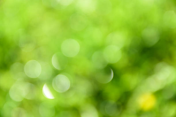 istock Bright green bokeh, natural background 1170481857